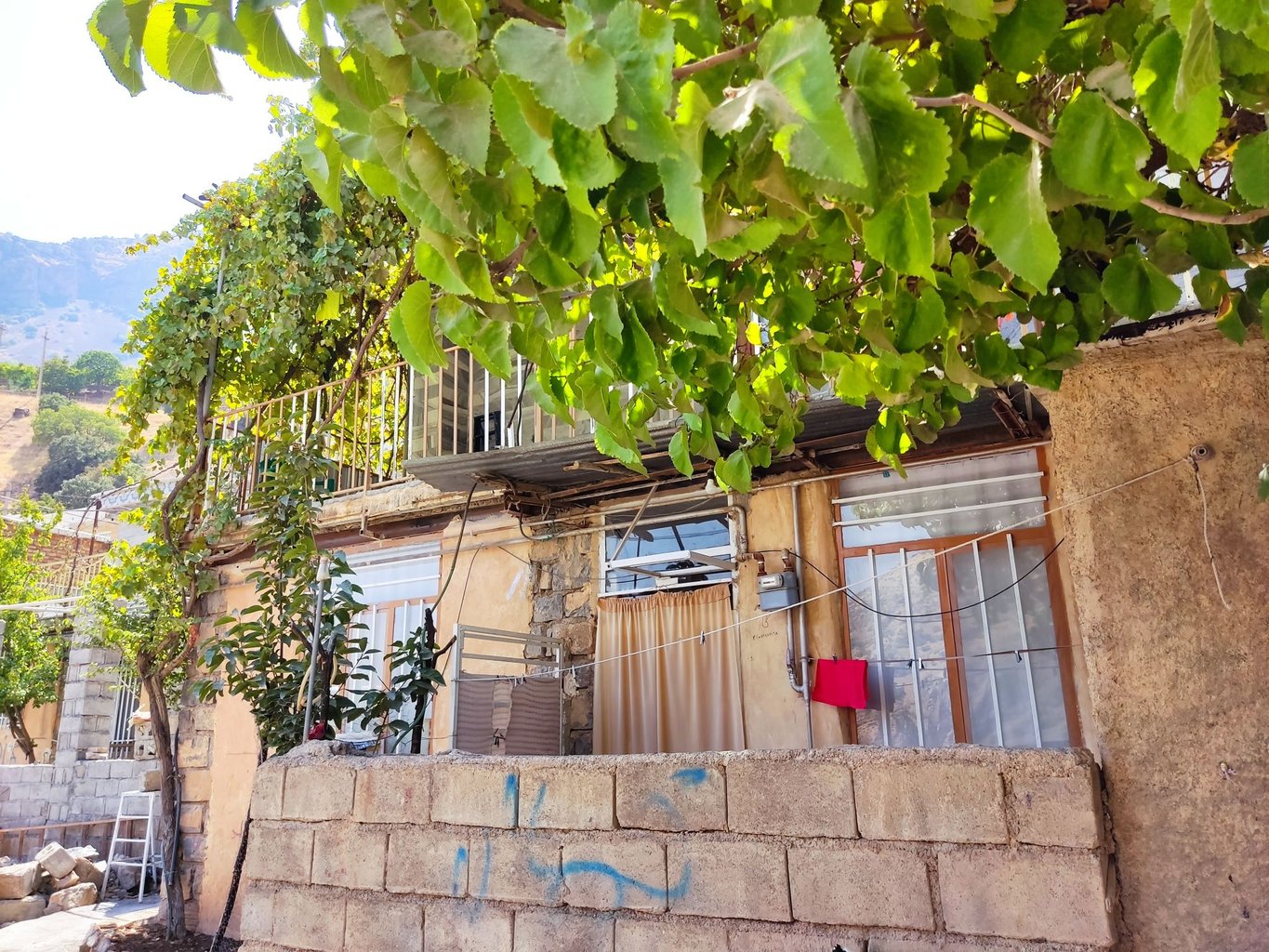 سوئیت یک خوابه دشه