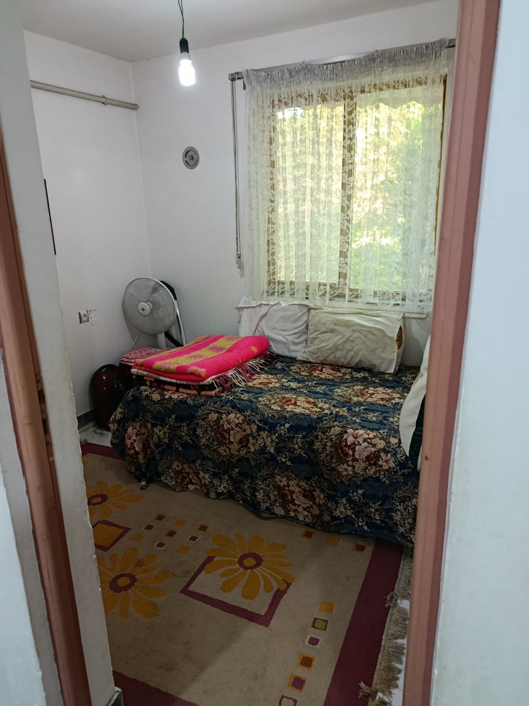 دوخوابه جنگلی کهن دیاران