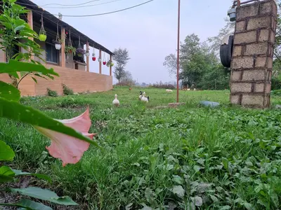 ویلا یک خوابه وشمه سرائی