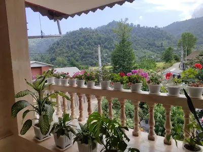 ویلا دوخوابه جنگلی آدرینا