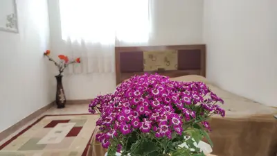 ویلا یک خوابه علیزاده 1