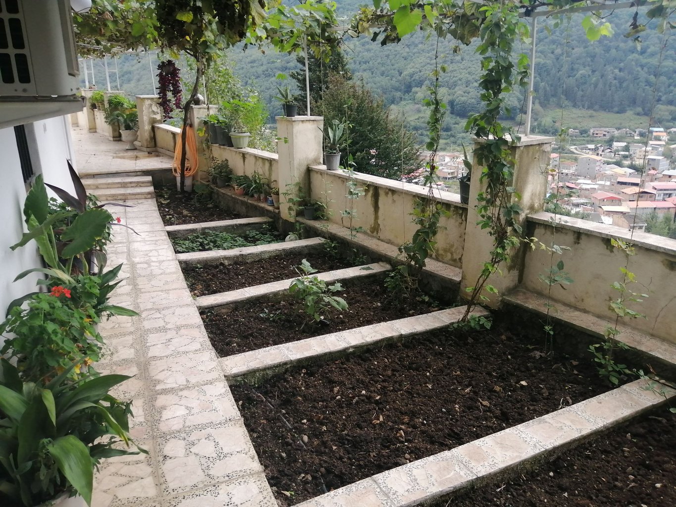 یک خوابه محمودیان