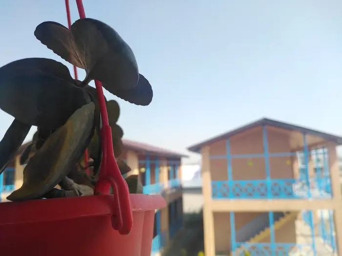 بوم گردی قائم - واحد 9