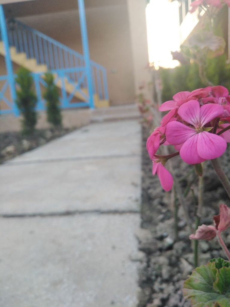 بومگردی قائم - واحد 6