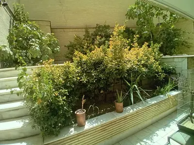 سوئیت فلت احمد آباد