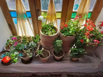 اقامتگاه سنتی اقامتگاه سنتی کژین - کژین - واحد شاه نشین