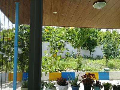 سوئیت یک خوابه شیرودی