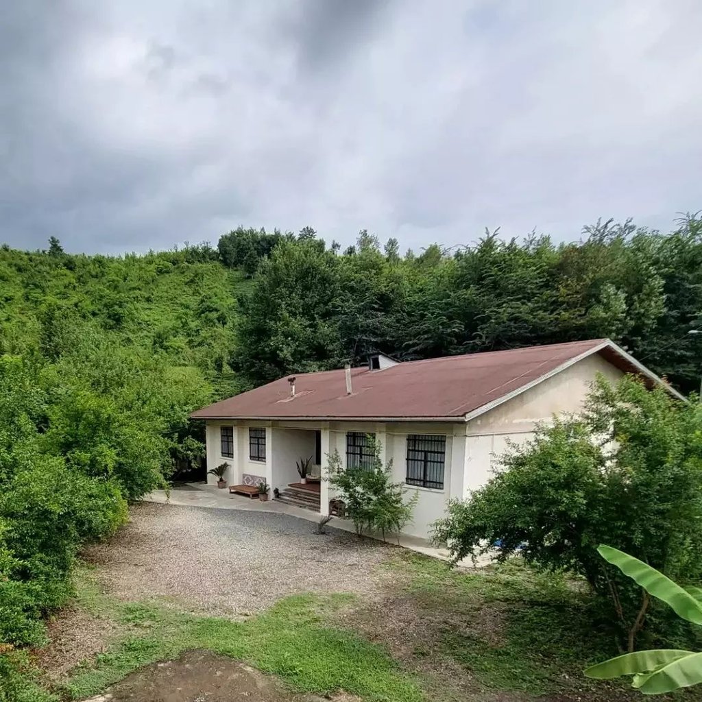 زمانه - واحد ونوس