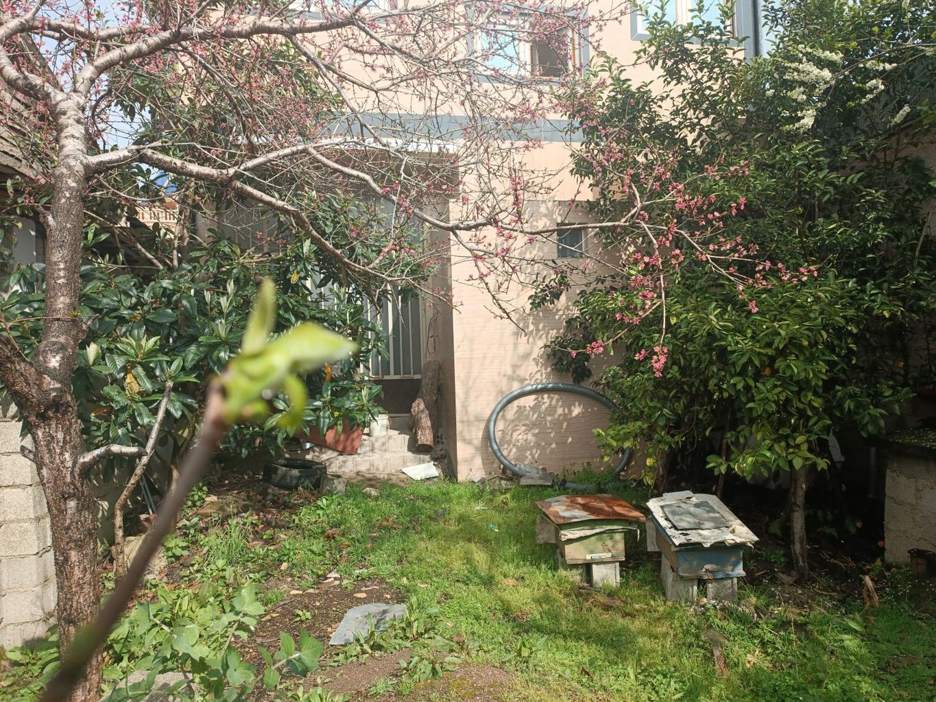 سوئیت فلت روستایی تطف