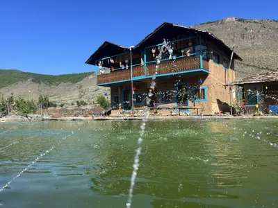 بومگردی یک خوابه دوبلکس پالونیا واحد آلاله