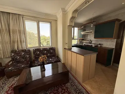 آپارتمان آپارتمان یک خوابه فخیم ۴۰۱