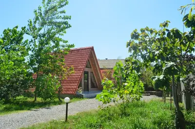 کلبه یک خوابه چوبی زیزا