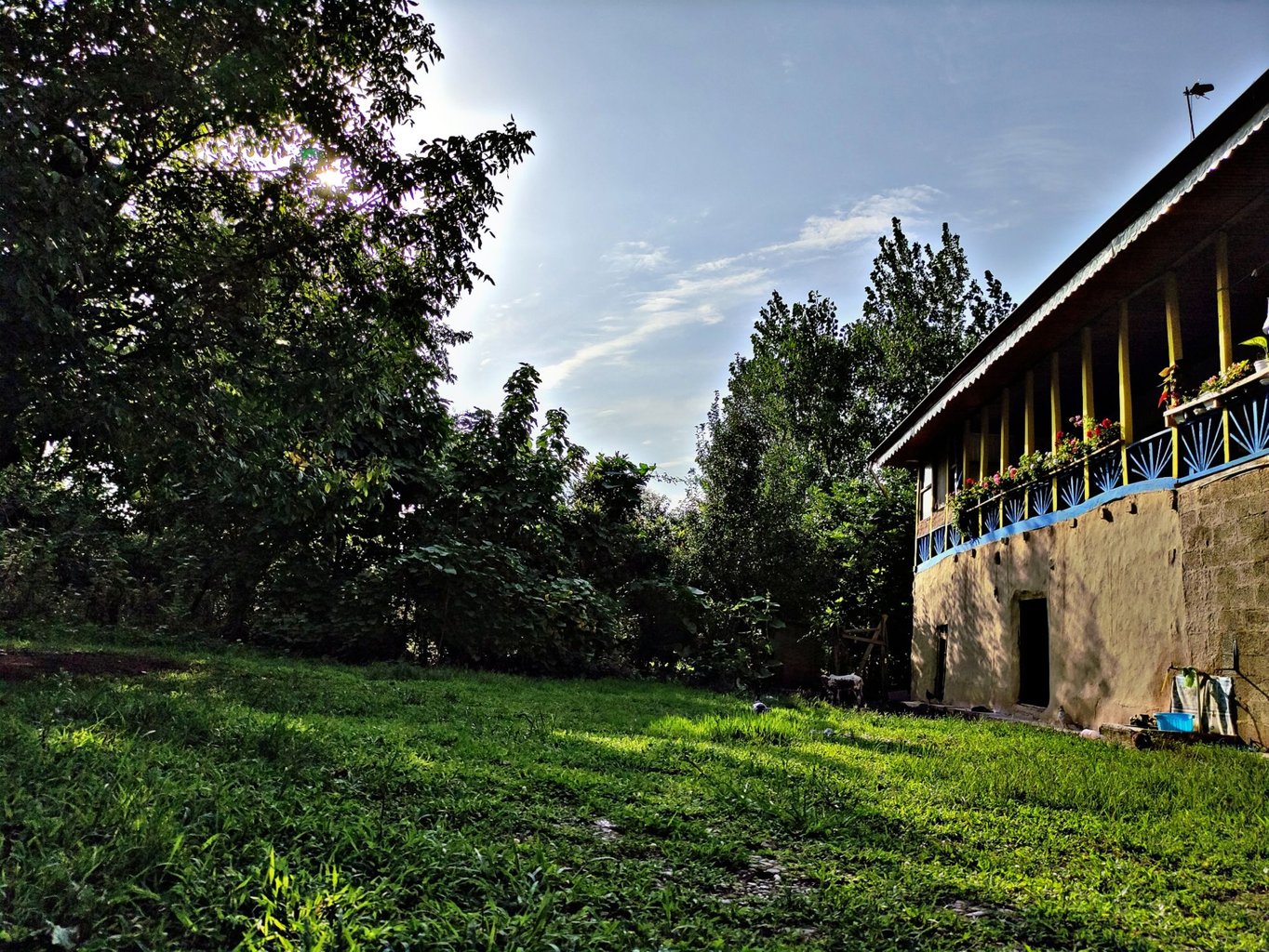 ویلا سه خوابه جنگلی مادربزرگ