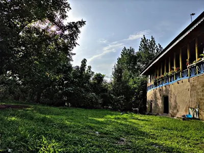 ویلا سه خوابه جنگلی مادربزرگ