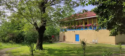 ویلا سه خوابه جنگلی مادربزرگ