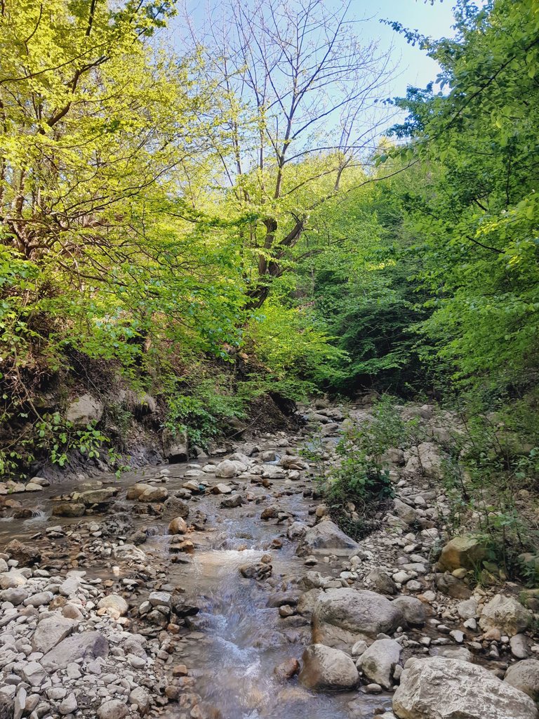 ویلا دوخوابه جنگلی خان بابا