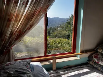 سوئیت فلت جنگلی لاجیم