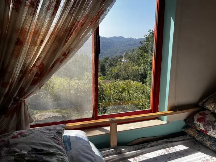 سوئیت فلت جنگلی لاجیم