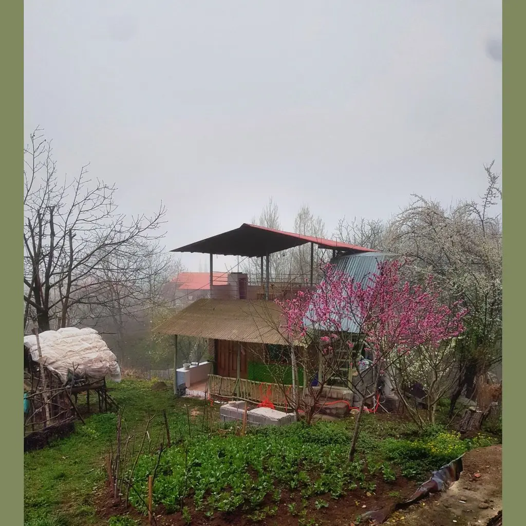 سوئیت فلت جنگلی لاجیم - نمای کلبه