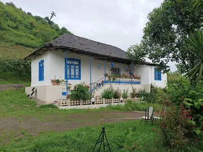 ویلا دوخوابه جنگلی محمدحسین