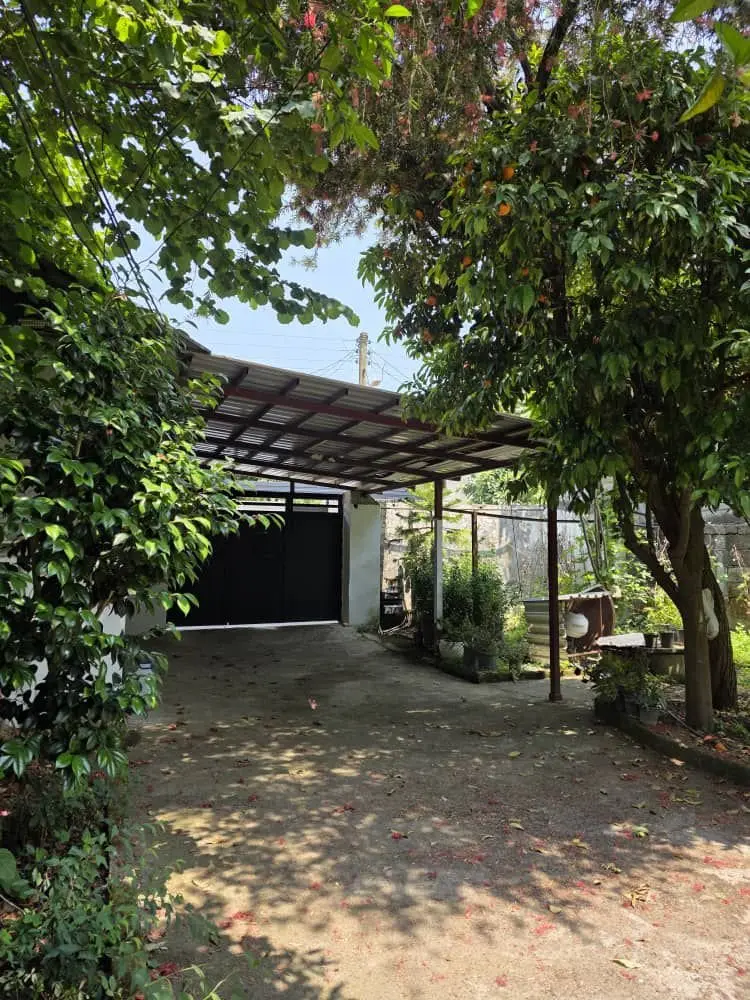 سوئیت یک خوابه قلی نیا 1