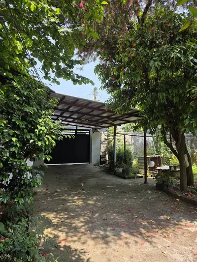 سوئیت یک خوابه قلی نیا 1