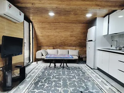 کلبه یک خوابه سوئیسی نگین