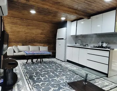 کلبه یک خوابه سوئیسی نگین