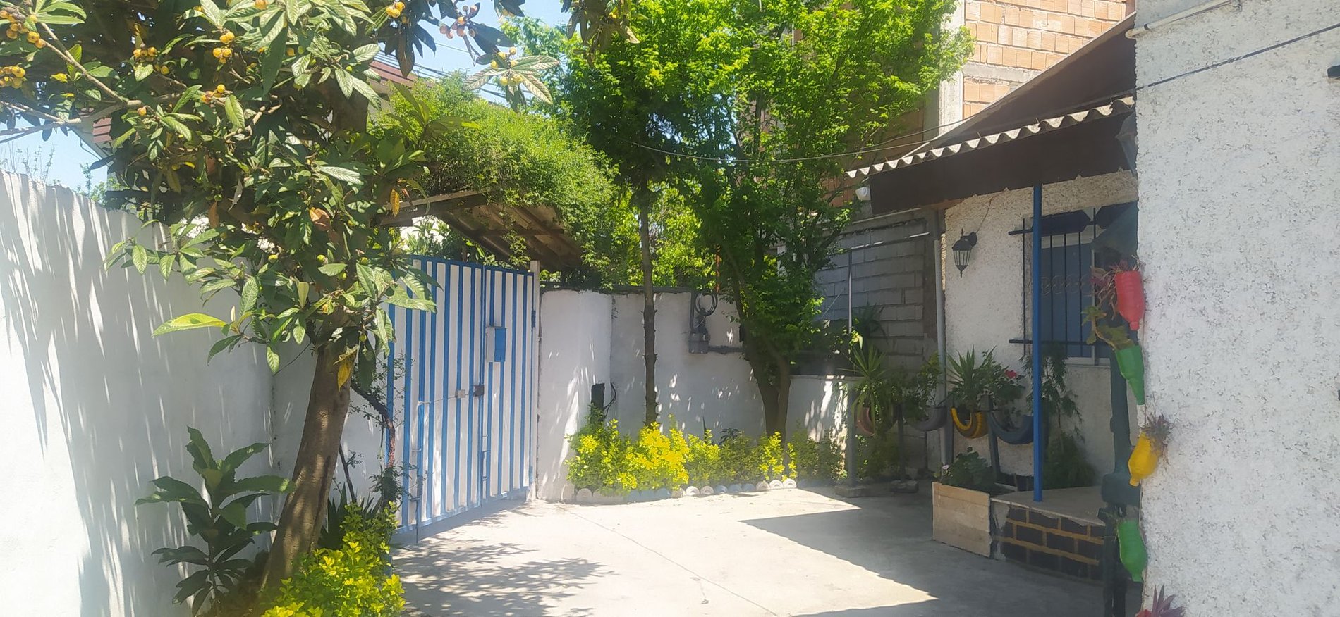 دوخوابه دانیال 3