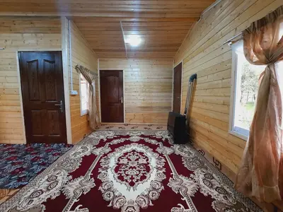 کلبه یک خوابه بام سبز 1