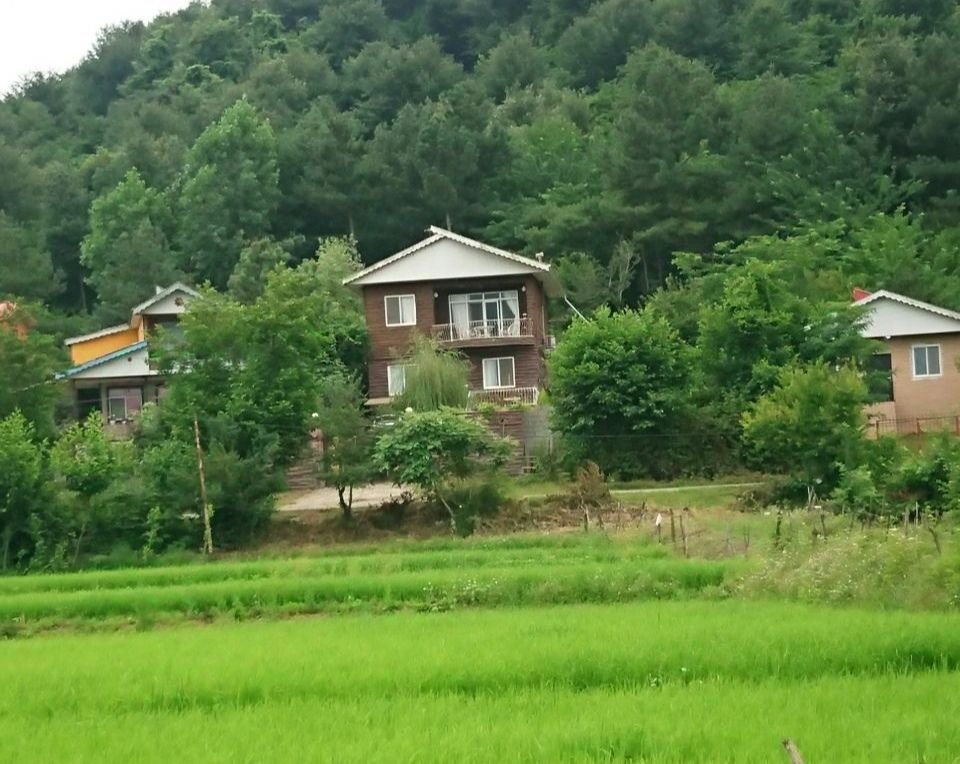 دوخوابه جنگلی افشاری