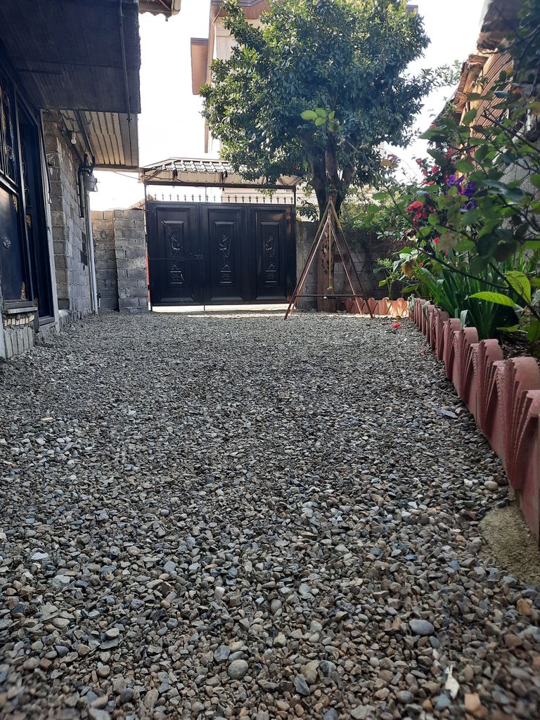 سوئیت یک خوابه ثنا چابک