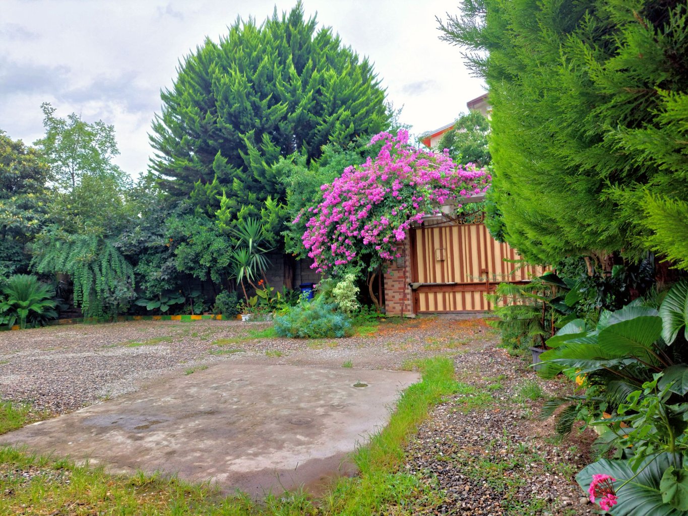 یک خوابه هور 1