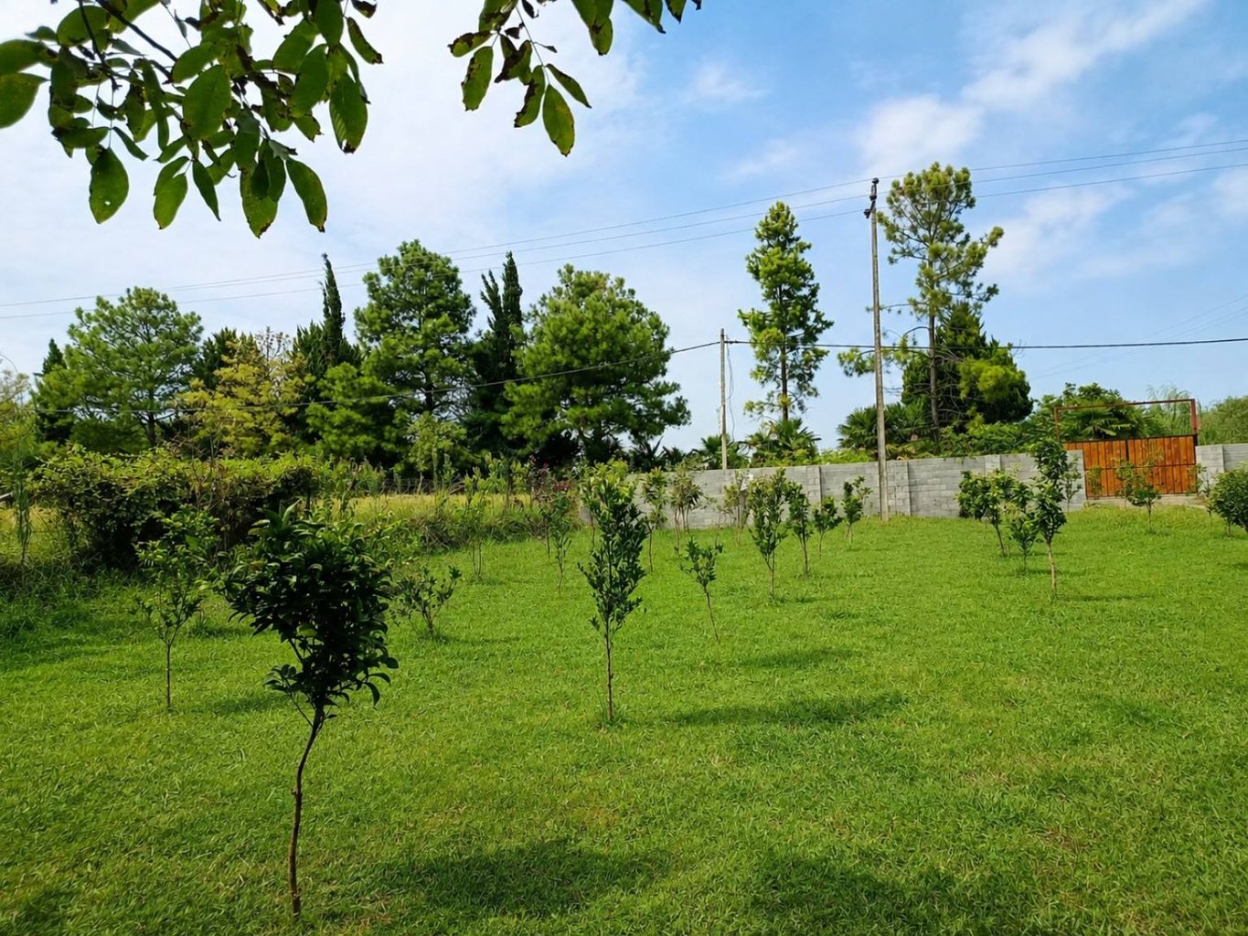 کلبه دوخوابه جکوزی دار ماه نسا
