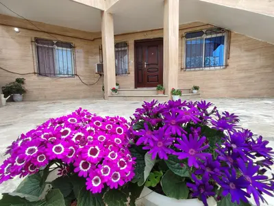 سوئیت یک خوابه عفاف 1