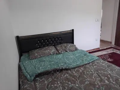 ویلا دوخوابه جنگلی پتک