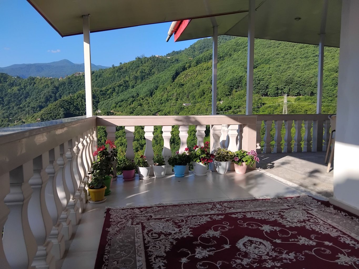 دوخوابه جنگلی پتک