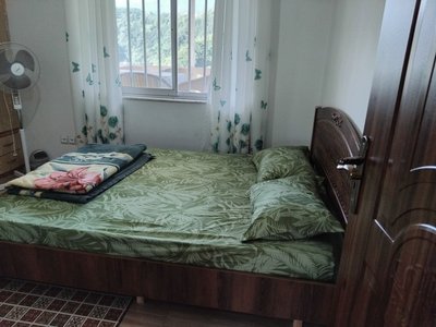 ویلا دوخوابه جنگلی پتک