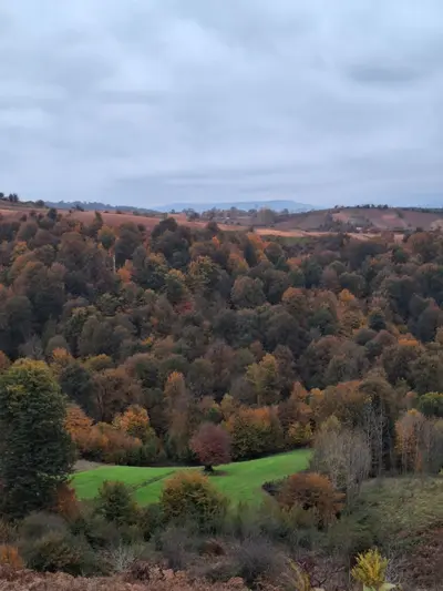 اقامتگاه سنتی گل و بلبل - واحد 3