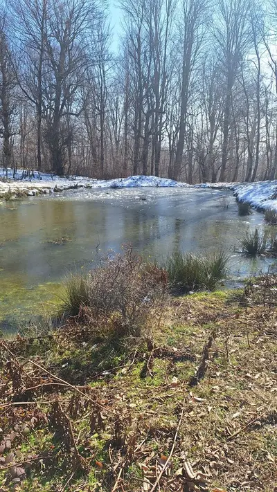 اقامتگاه سنتی گل و بلبل - واحد 3