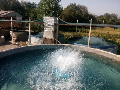 بومگردی بیجار کنار - واحد 1