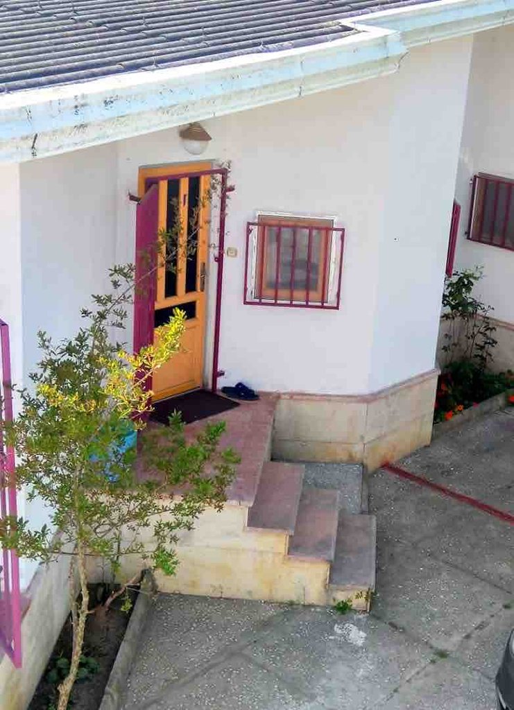 فلت جنگلی پامچال ۲