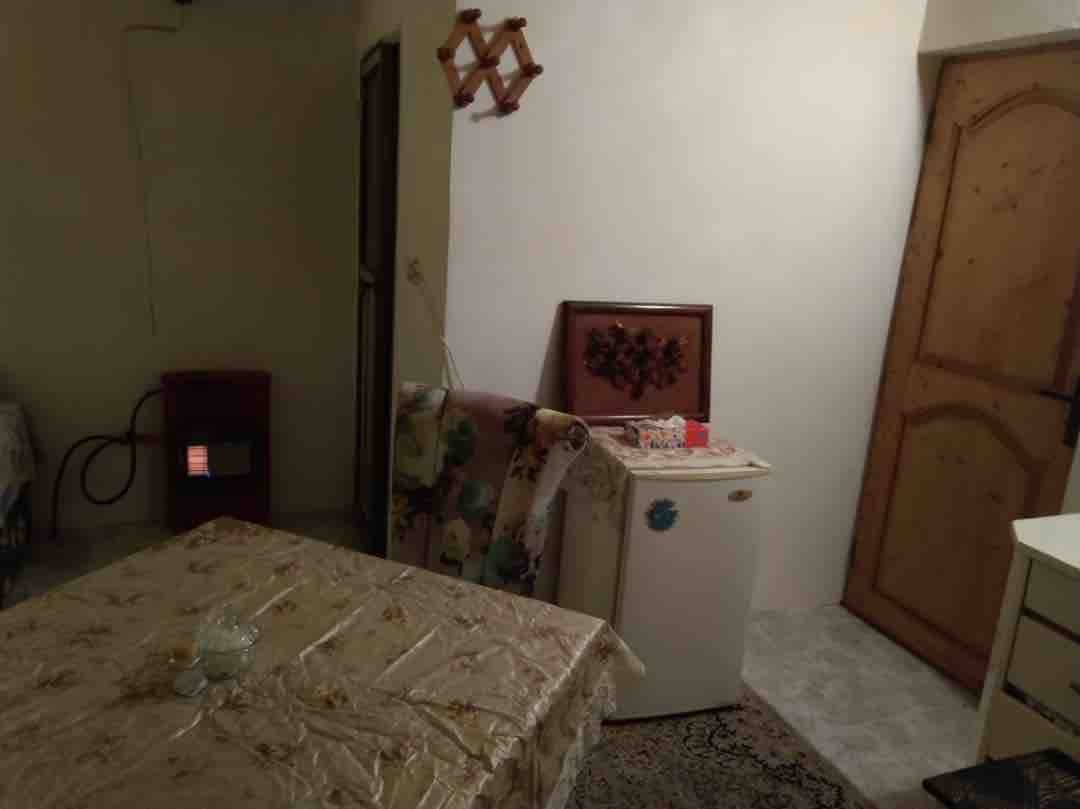 فلت جنگلی پامچال ۲