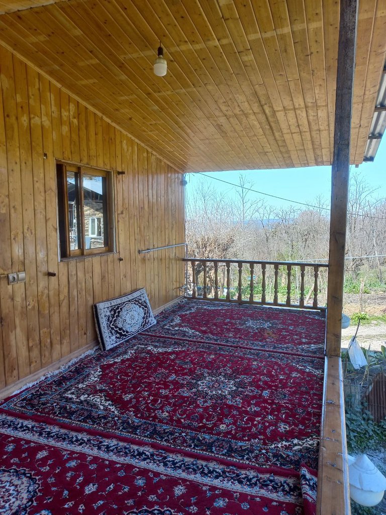 یک خوابه جنگلی تیما