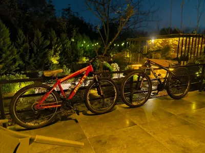 کلبه یک خوابه سوئیسی مهماندوست