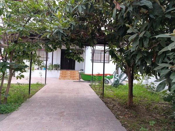 ویلا دوخوابه ساحلی طلایی 1 - حیاط وپارکینگ مسقف فضایه سبز