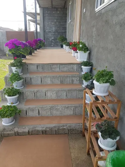 ویلا یک خوابه نیهان