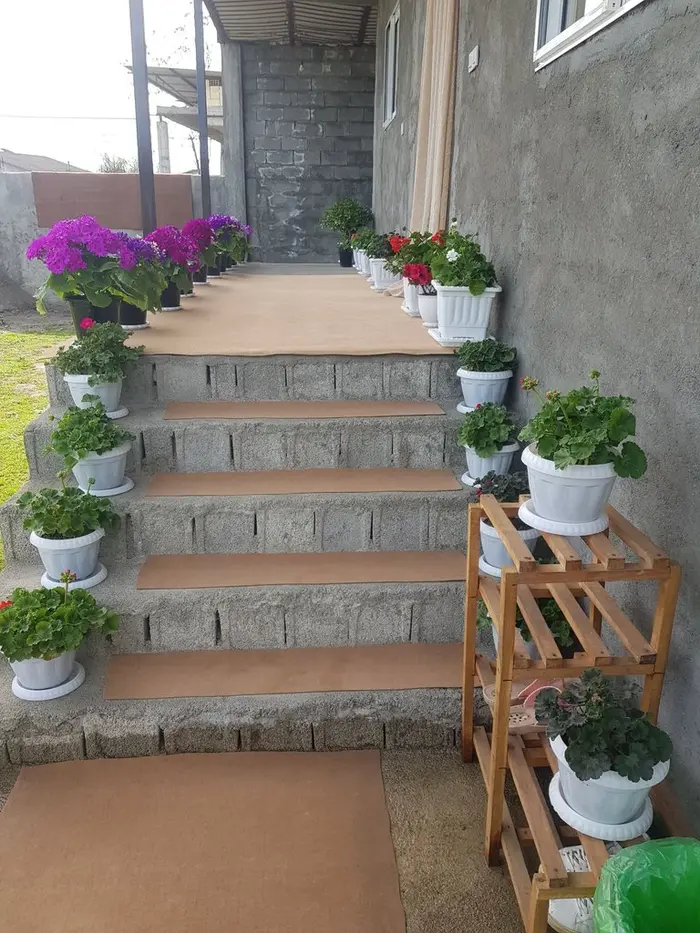 ویلا یک خوابه نیهان