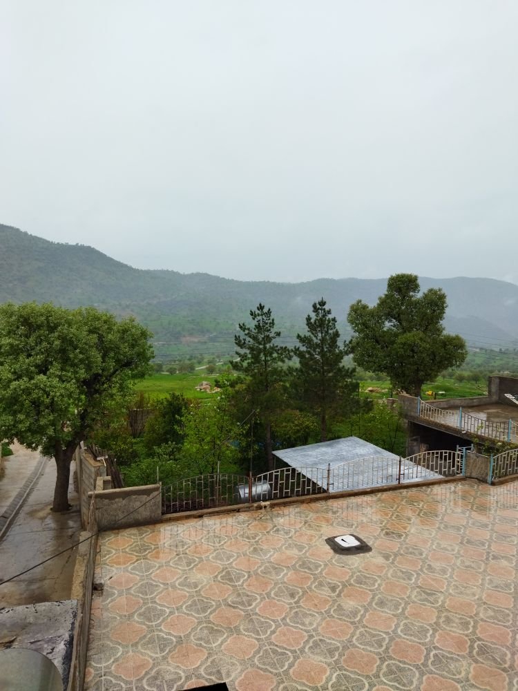 ویلا یک خوابه شولیز - ویو ساختمان 