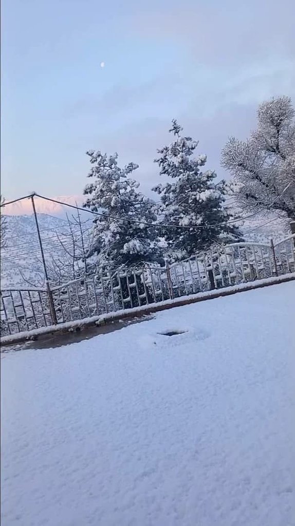 ویلا یک خوابه شولیز - ویو ساختمان 